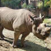 ヒメ日記 2025/06/28 11:00 投稿 はる 尼崎人妻援護会