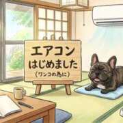 ヒメ日記 2026/05/13 11:43 投稿 はる 尼崎人妻援護会
