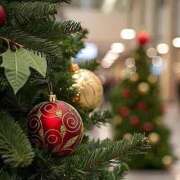 ヒメ日記 2025/12/19 12:26 投稿 高峰　あさひ アロマキュアシス