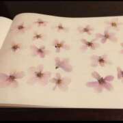 ヒメ日記 2025/03/08 11:22 投稿 辻宮ゆみこ 五十路マダム 愛されたい熟女たち 高松店