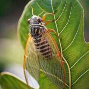 ヒメ日記 2025/07/23 23:00 投稿 辻宮ゆみこ 五十路マダム 愛されたい熟女たち 高松店