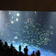 ヒメ日記 2025/08/21 21:28 投稿 辻宮ゆみこ 五十路マダム 愛されたい熟女たち 高松店