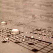 ヒメ日記 2025/10/19 23:18 投稿 辻宮ゆみこ 五十路マダム 愛されたい熟女たち 高松店