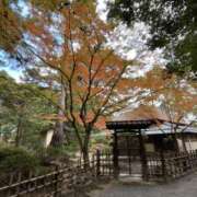 ヒメ日記 2025/11/26 21:14 投稿 辻宮ゆみこ 五十路マダム 愛されたい熟女たち 高松店