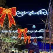 ヒメ日記 2025/12/21 23:02 投稿 辻宮ゆみこ 五十路マダム 愛されたい熟女たち 高松店