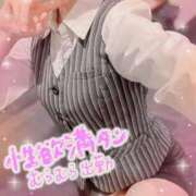 ヒメ日記 2025/04/05 07:45 投稿 叶多　あゆみ OLセレクション宇都宮店