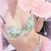 ヒメ日記 2025/04/10 11:33 投稿 叶多　あゆみ OLセレクション宇都宮店