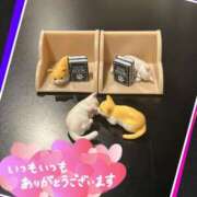 ヒメ日記 2025/05/05 16:16 投稿 叶多　あゆみ OLセレクション宇都宮店