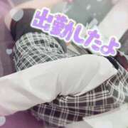 ヒメ日記 2025/05/24 07:45 投稿 叶多　あゆみ OLセレクション宇都宮店