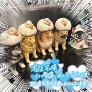 ヒメ日記 2025/07/29 16:13 投稿 叶多　あゆみ OLセレクション宇都宮店