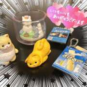 ヒメ日記 2025/08/15 16:08 投稿 叶多　あゆみ OLセレクション宇都宮店