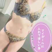 ヒメ日記 2025/12/20 05:00 投稿 叶多　あゆみ OLセレクション宇都宮店