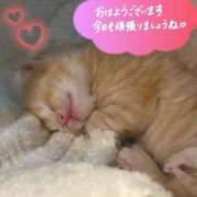 ヒメ日記 2026/02/22 05:00 投稿 叶多　あゆみ OLセレクション宇都宮店