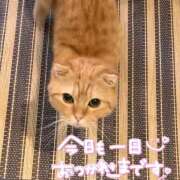 ヒメ日記 2026/02/22 15:45 投稿 叶多　あゆみ OLセレクション宇都宮店