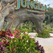 ヒメ日記 2026/03/10 09:54 投稿 叶多　あゆみ OLセレクション宇都宮店