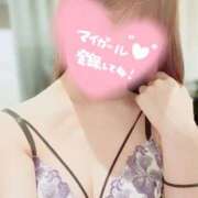 ヒメ日記 2026/04/15 16:04 投稿 叶多　あゆみ OLセレクション宇都宮店