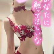 ヒメ日記 2026/04/24 06:25 投稿 叶多　あゆみ OLセレクション宇都宮店