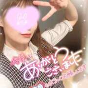 ヒメ日記 2026/04/25 16:14 投稿 叶多　あゆみ OLセレクション宇都宮店