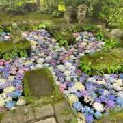 ヒメ日記 2025/06/03 08:57 投稿 かりん Lounge Yoki東京