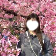 ヒメ日記 2026/03/10 10:29 投稿 かりん Lounge Yoki東京