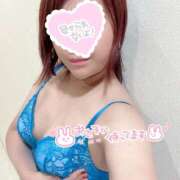 ヒメ日記 2024/12/21 08:44 投稿 岡崎のりこ すべりん棒シャンプー娘。（横浜ハレ系）