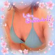 ヒメ日記 2025/04/13 10:31 投稿 岡崎のりこ すべりん棒シャンプー娘。（横浜ハレ系）