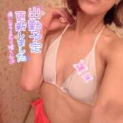 ヒメ日記 2026/03/17 21:01 投稿 岡崎のりこ すべりん棒シャンプー娘。（横浜ハレ系）