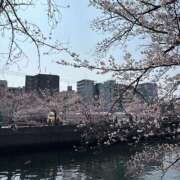 ヒメ日記 2026/03/29 12:04 投稿 岡崎のりこ すべりん棒シャンプー娘。（横浜ハレ系）