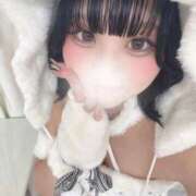 ヒメ日記 2026/01/28 10:38 投稿 ちい PHANTOM(ファントム)