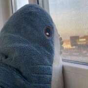 ヒメ日記 2024/12/19 11:46 投稿 中村わかな 松戸人妻花壇