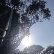 中村わかな お疲れ様です^_^ 松戸人妻花壇