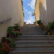 ヒメ日記 2025/12/11 12:18 投稿 中村わかな 松戸人妻花壇