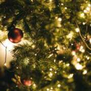 ヒメ日記 2025/12/18 21:15 投稿 中村わかな 松戸人妻花壇