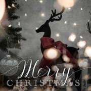 ヒメ日記 2025/12/25 13:35 投稿 中村わかな 松戸人妻花壇