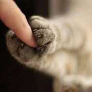 ヒメ日記 2026/02/05 15:35 投稿 中村わかな 松戸人妻花壇