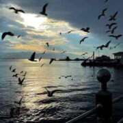 ヒメ日記 2026/03/06 19:40 投稿 中村わかな 松戸人妻花壇