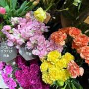 ヒメ日記 2024/12/30 14:46 投稿 マヒロ ラブコレクション