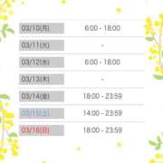 ヒメ日記 2025/03/08 19:46 投稿 マヒロ ラブコレクション