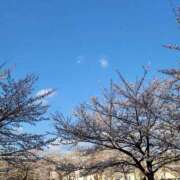 ヒメ日記 2025/04/20 12:31 投稿 マヒロ ラブコレクション