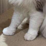 ヒメ日記 2025/06/02 12:01 投稿 マヒロ ラブコレクション