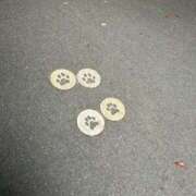 ヒメ日記 2025/09/15 16:01 投稿 マヒロ ラブコレクション