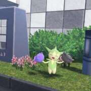 ヒメ日記 2025/11/11 21:46 投稿 マヒロ ラブコレクション