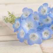 ヒメ日記 2026/01/19 04:46 投稿 マヒロ ラブコレクション