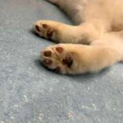 ヒメ日記 2026/01/28 21:31 投稿 マヒロ ラブコレクション