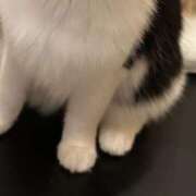 ヒメ日記 2026/02/06 08:46 投稿 マヒロ ラブコレクション