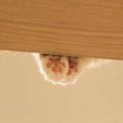 ヒメ日記 2026/02/12 07:46 投稿 マヒロ ラブコレクション