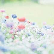 ヒメ日記 2026/03/01 19:46 投稿 マヒロ ラブコレクション