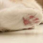 ヒメ日記 2026/03/17 20:46 投稿 マヒロ ラブコレクション