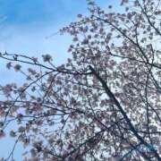 マヒロ 春の陽気?? ラブコレクション