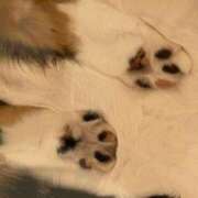 ヒメ日記 2026/04/23 20:16 投稿 マヒロ ラブコレクション